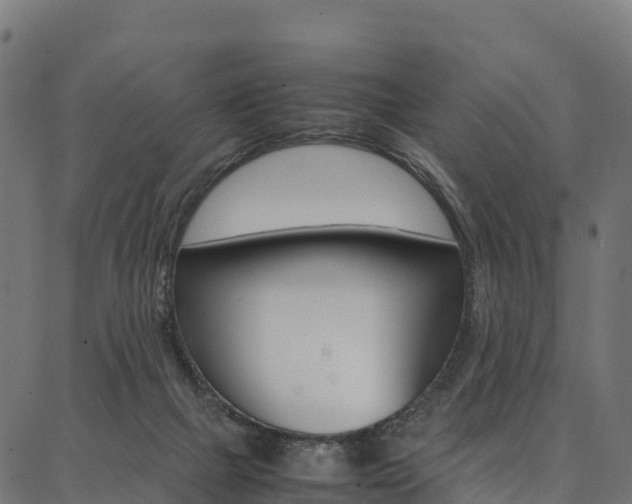 X0000086790073200704130905