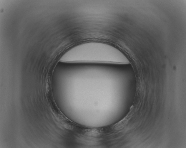 X0000086790074200704130905