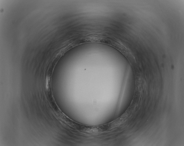 X0000086790075200704130905