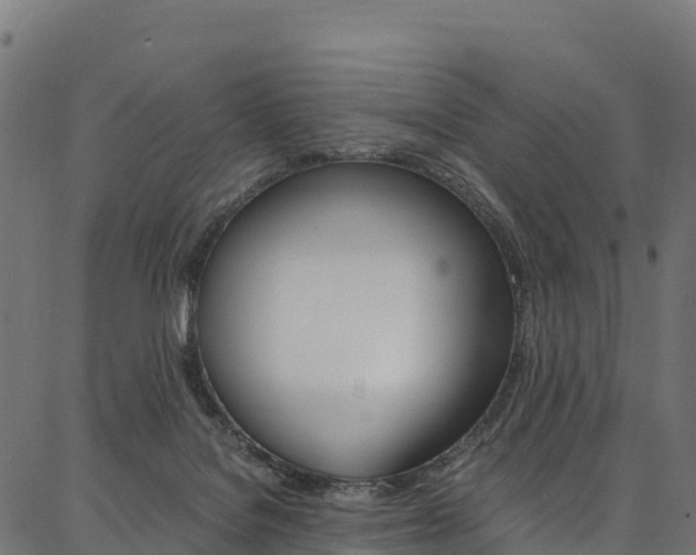 X0000086790076200704130905