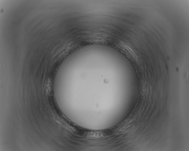 X0000086790077200704130905