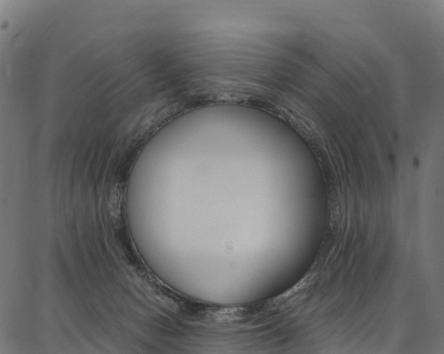 X0000086790078200704130905