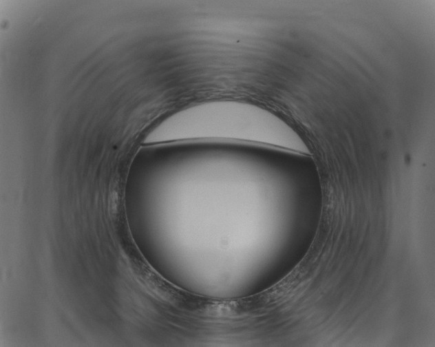 X0000086790080200704130905