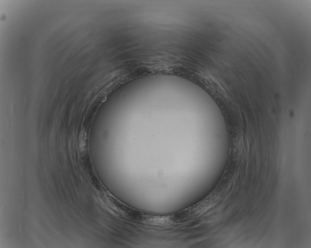 X0000086790081200704130905