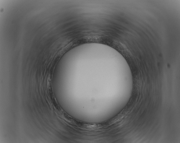 X0000086790083200704130905