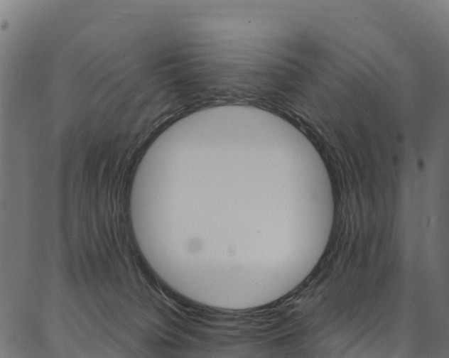 X0000086790084200704130905