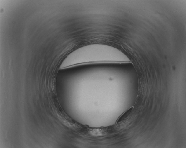 X0000086790091200704130905