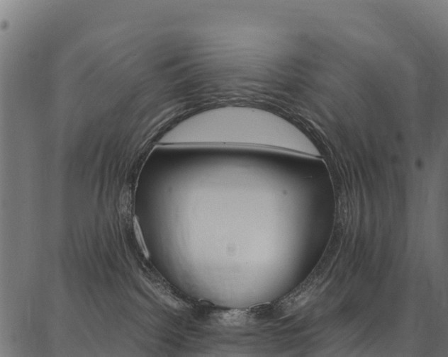 X0000086790092200704130905