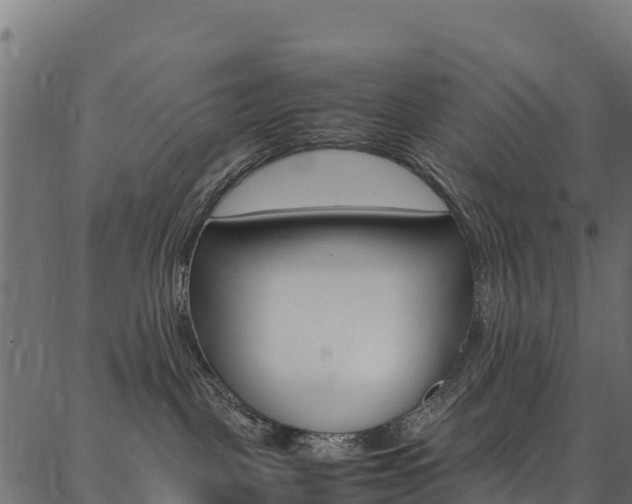 X0000086790093200704130905