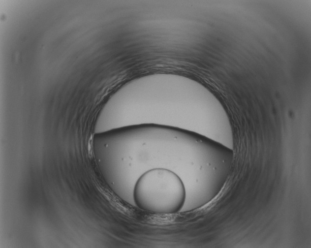 X0000086790094200704130905