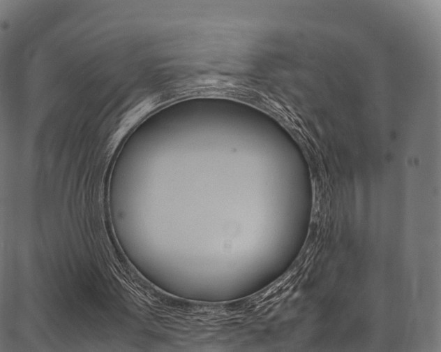 X0000086790099200704130905