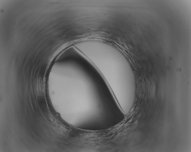 X0000086790100200704130905