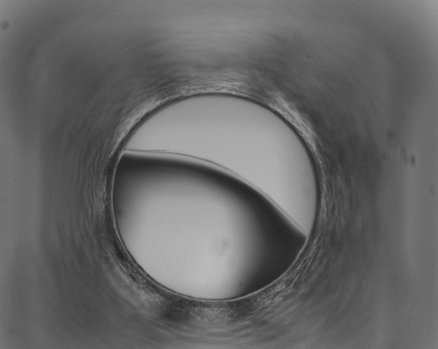 X0000086790107200704130905
