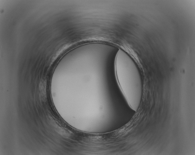 X0000086790108200704130905