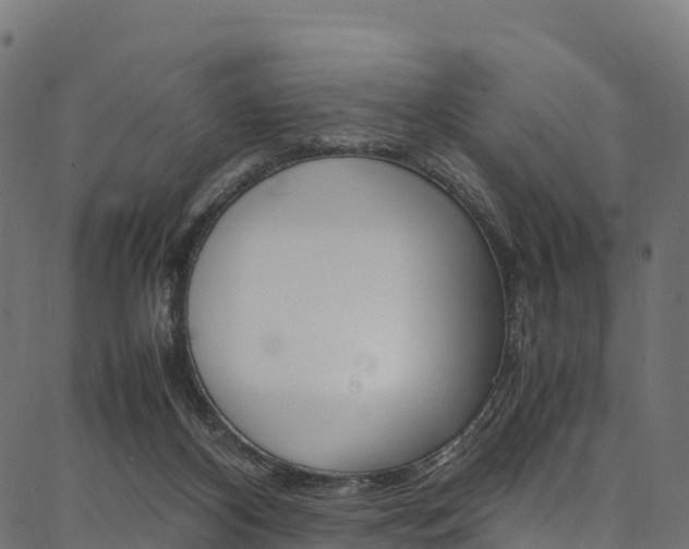 X0000086790116200704130904