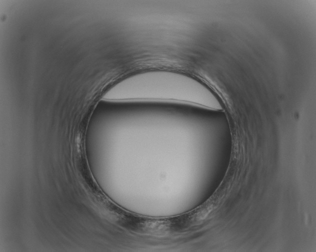 X0000086790117200704130904
