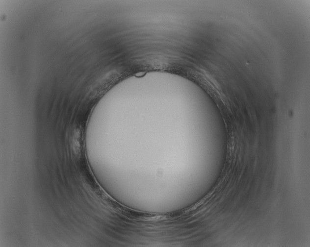 X0000086790122200704130904
