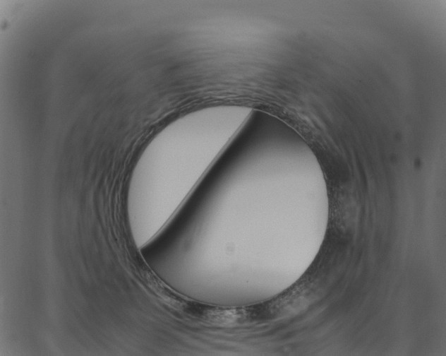 X0000086790131200704130904