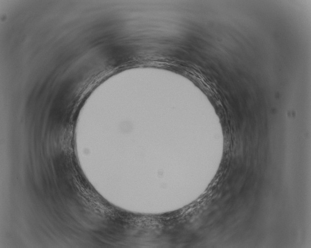 X0000086790146200704130903