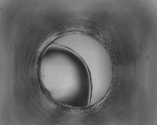 X0000086790150200704130903