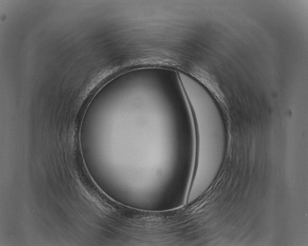 X0000086790156200704130903