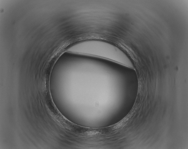X0000086790158200704130903