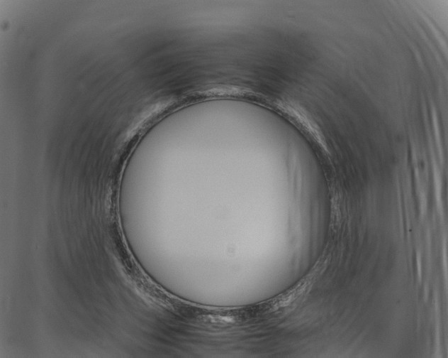 X0000086790159200704130903