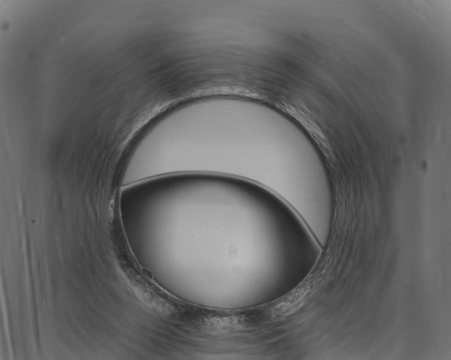X0000086790160200704130903