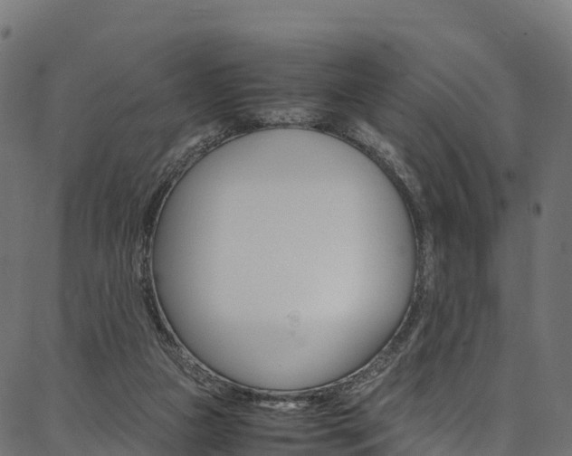 X0000086790161200704130903
