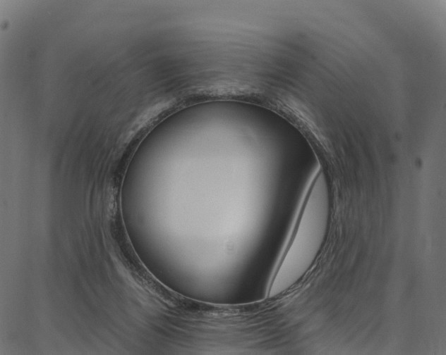 X0000086790164200704130903