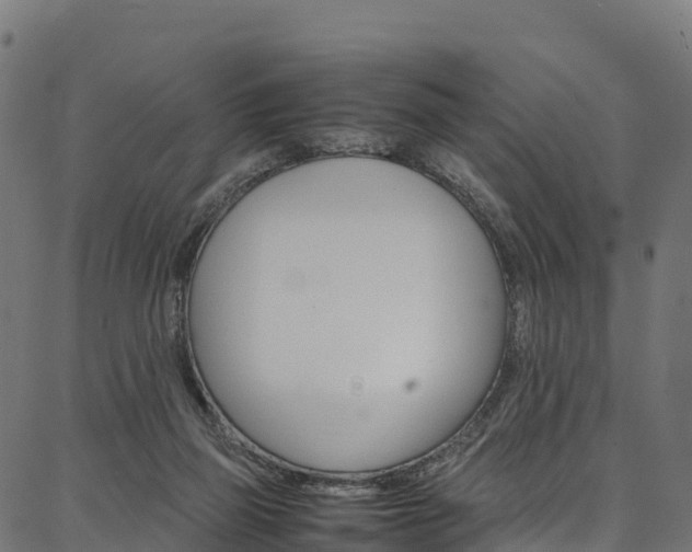 X0000086790165200704130903