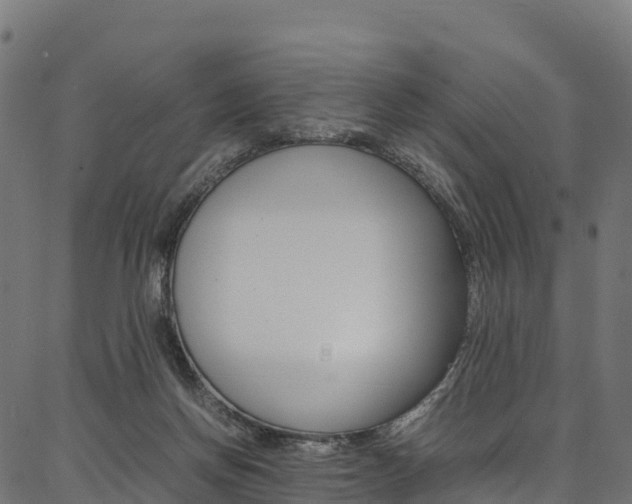 X0000086790166200704130903