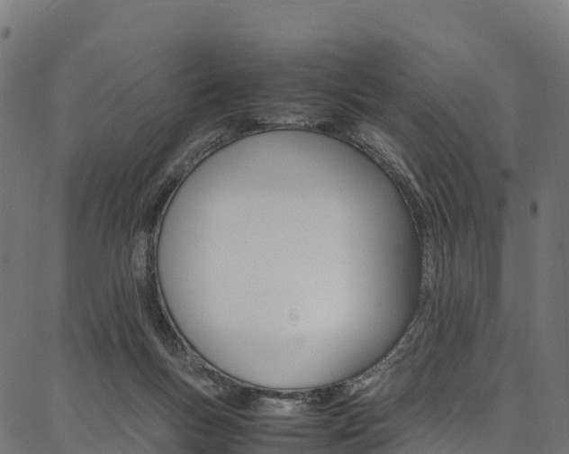 X0000086790167200704130903