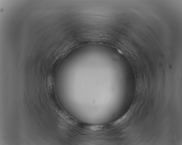 X0000086790184200704130904