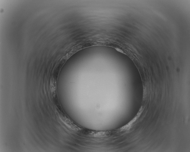 X0000086790186200704130904