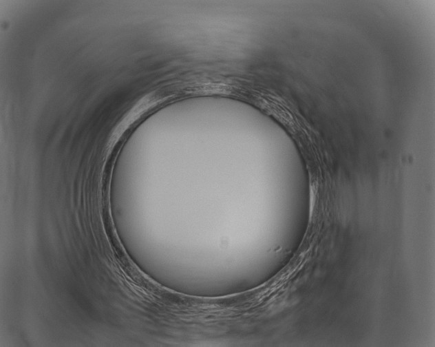 X0000086790195200704130903