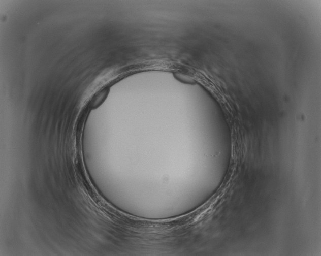 X0000086790198200704130903