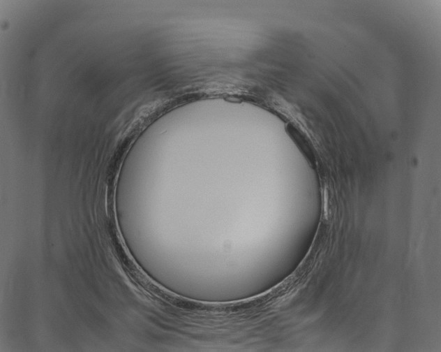 X0000086790205200704130903
