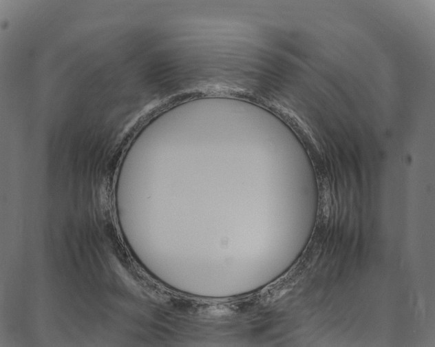 X0000086790208200704130903