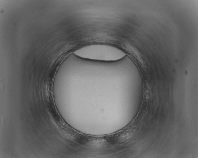 X0000086790210200704130903