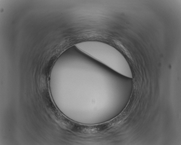 X0000086790213200704130903