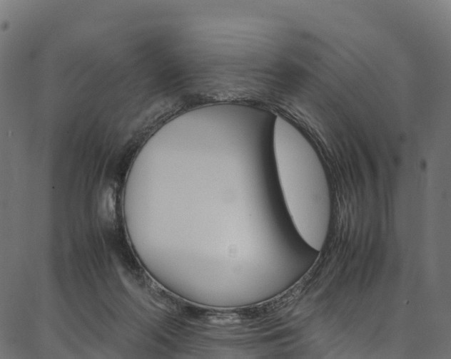 X0000086790214200704130903