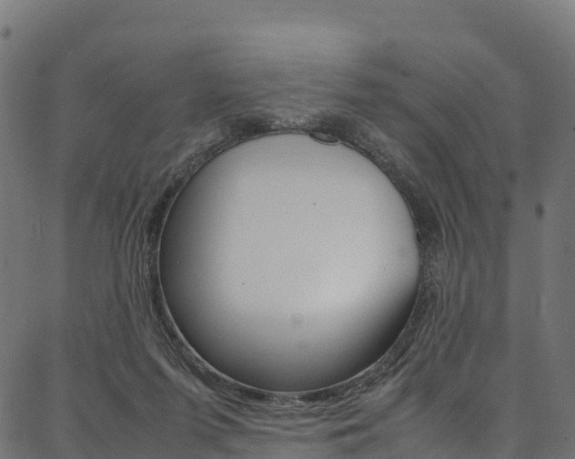 X0000086790215200704130903