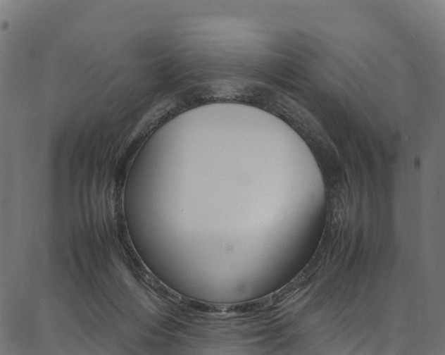 X0000086790216200704130903