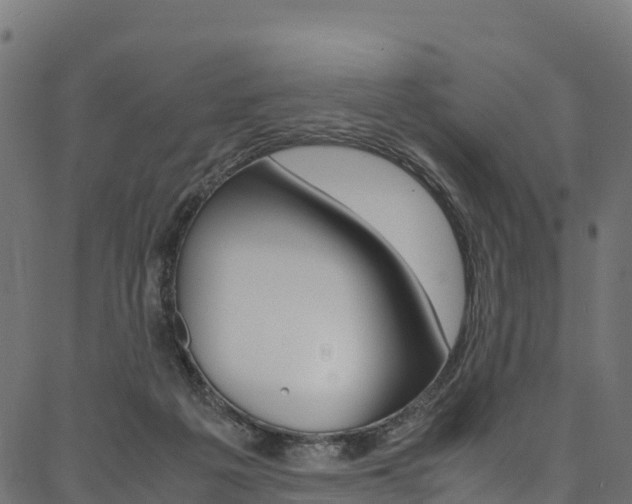 X0000086790217200704130903