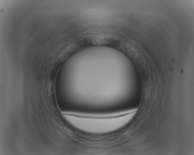 X0000086790219200704130903