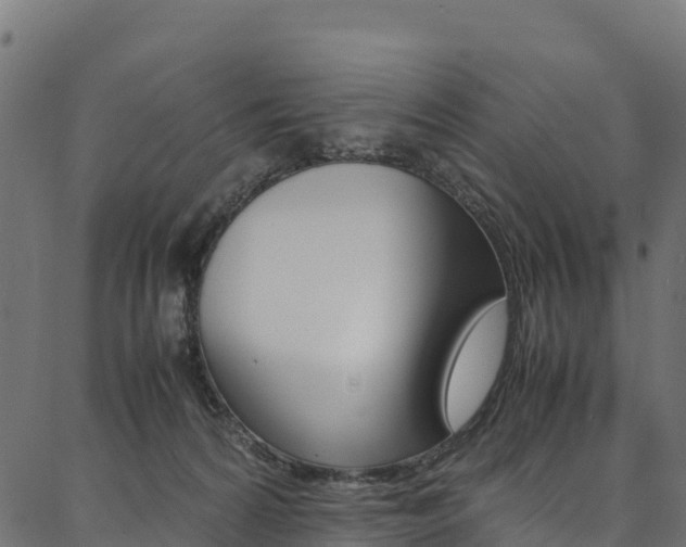 X0000086790224200704130903
