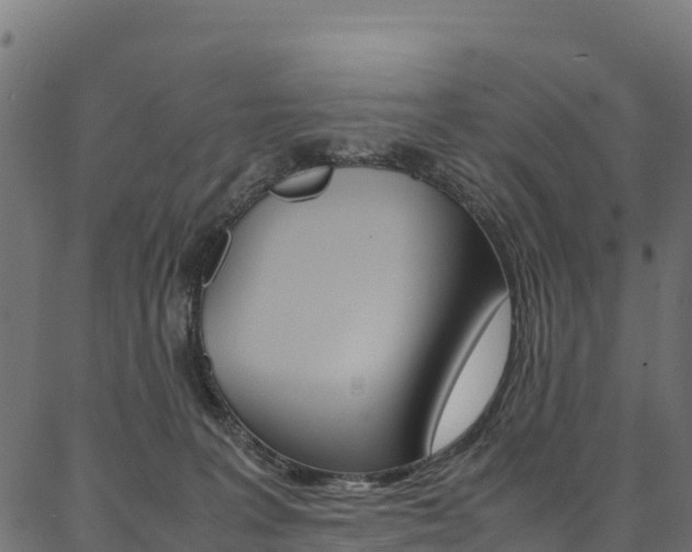 X0000086790227200704130903