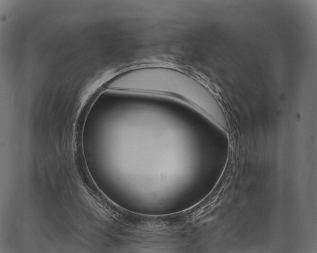 X0000086790248200704130902