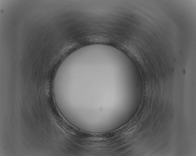 X0000086790255200704130902